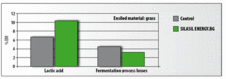 Intensive lactic acid formation by SILASIL ENERGY.BG minimises fermentation process losses during silaging.