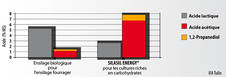 Le spectre de fermentation idéal de l'ensilage de Maïs, dédié à la production de biogaz, est traité avec SILASIL ENERGY® (IDA Tulln, 2005)