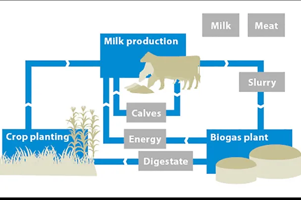 Production system at the Hülsenberg estate, simplified representation