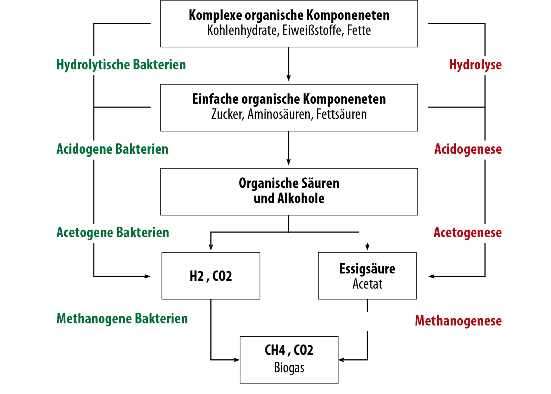 Conversion of fermentation substrate into biogas