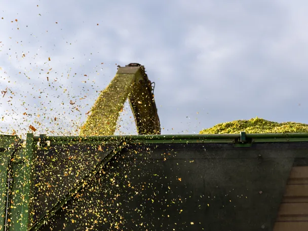 AdobeStock_1707945412_Kirill Gorlov