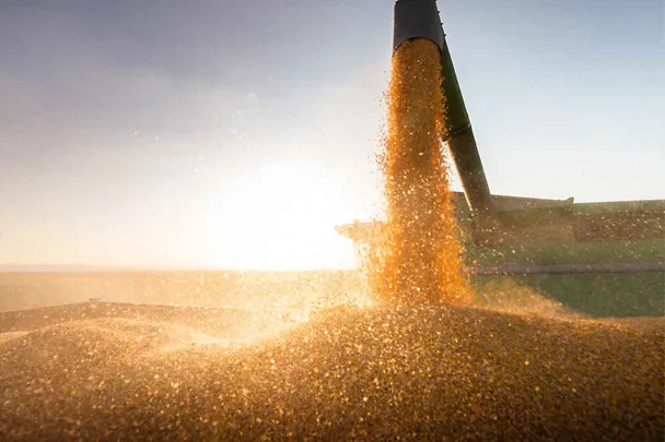 Coucher de soleil sur la récolte Coucher de soleil sur la récolte