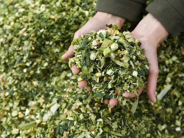 AdobeStock_26657461_Ingo Bartussek AdobeStock_26657461_Ingo Bartussek