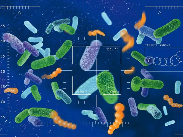 Immagine microscopica SILASIL.ENERGY H3