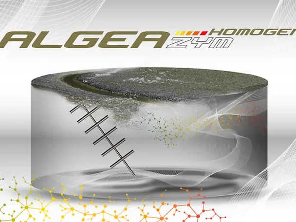 Grafica ALGEAZYM Homogen