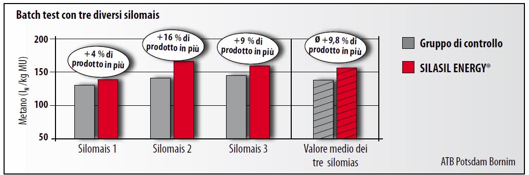 Batch test con tre diversi silomais