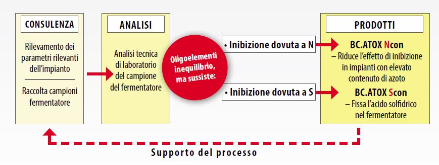 Infografica - Prodotti BC.ATOX Ncon e BC.ATOX Scon Infografica - Prodotti BC.ATOX Ncon e BC.ATOX Scon