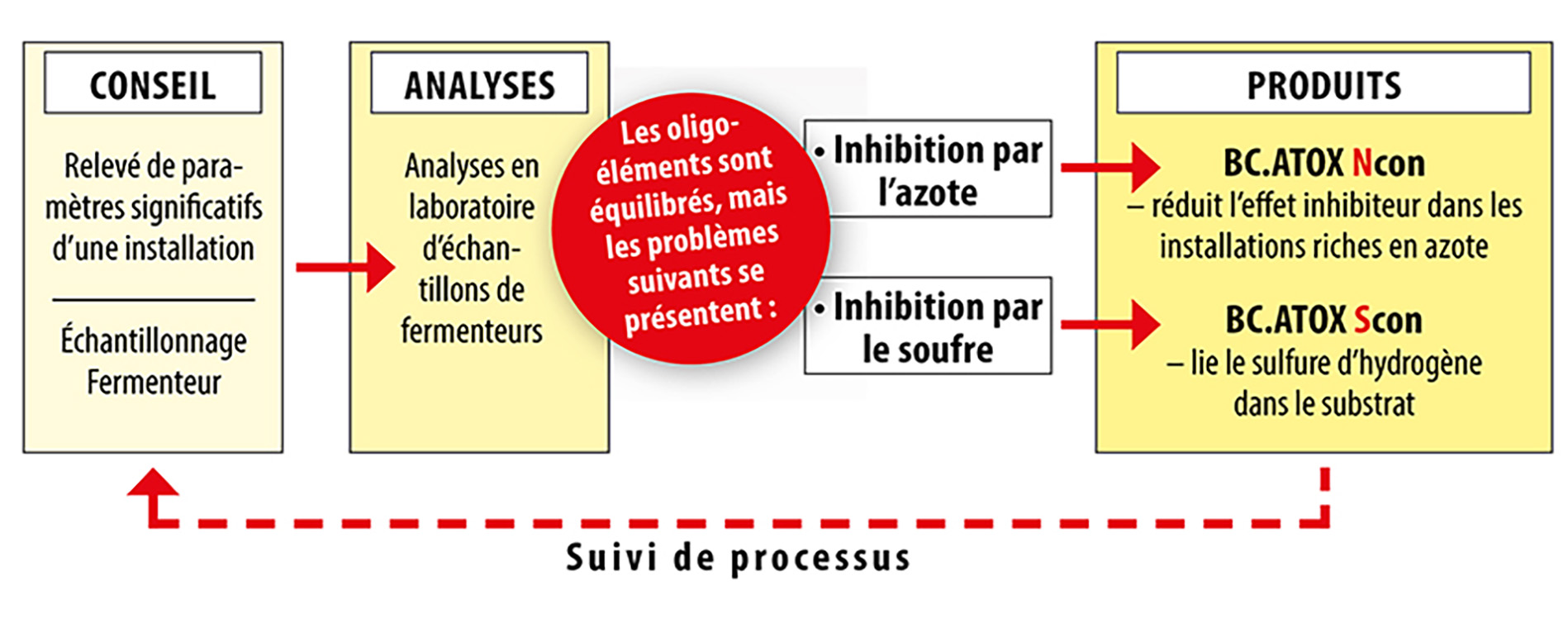 bc_atox_scon_id569_1900px_760px