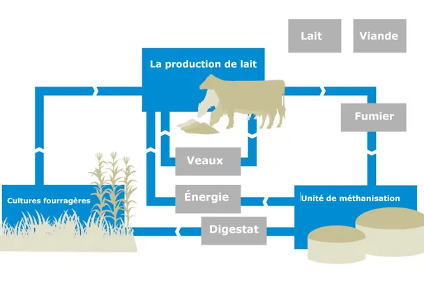 nachhaltigkeit_huelsenberg_520px_fr nachhaltigkeit_huelsenberg_520px_fr