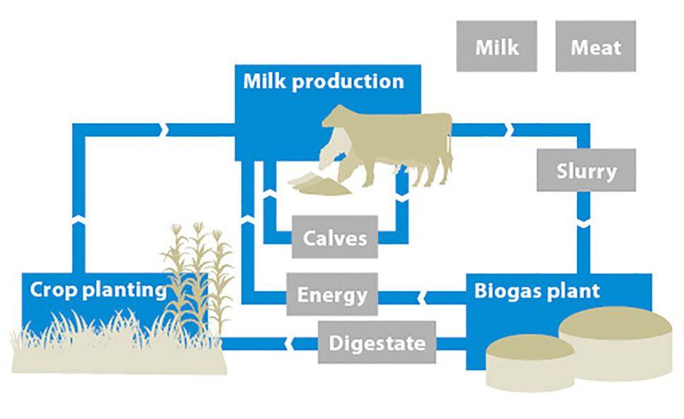 Production system at the Hülsenberg estate, simplified representation Production system at the Hülsenberg estate, simplified representation