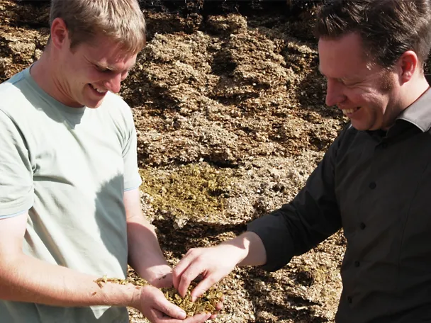 Consultazione tra due uomini nell'area di taglio del silo