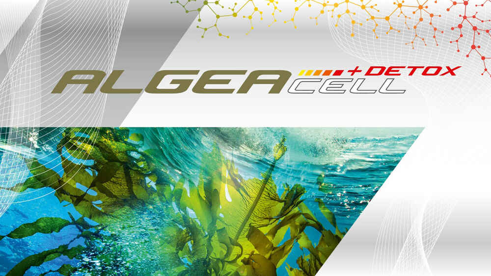 ALGEACELL + Detox - The algae is making waves again!