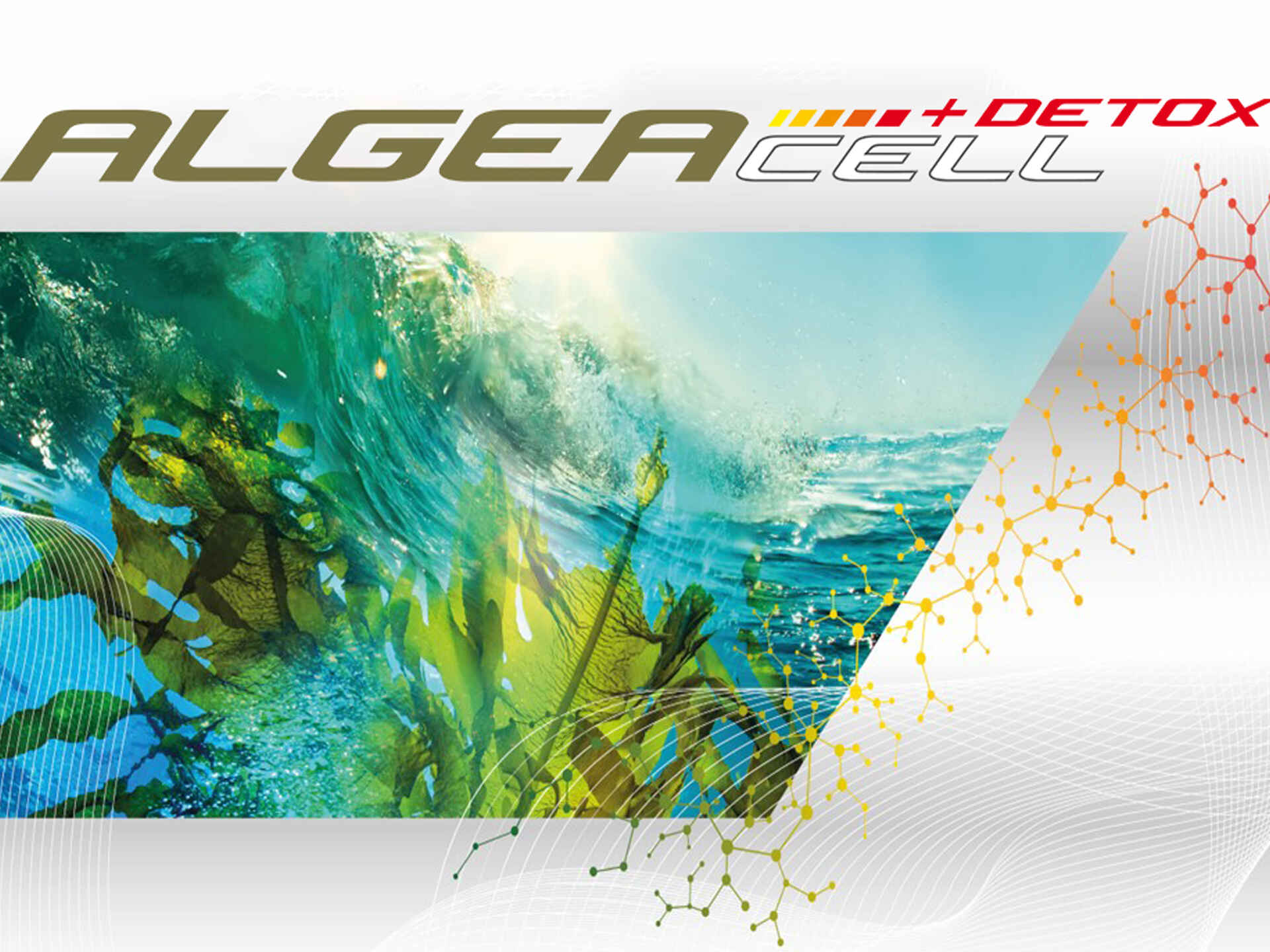 Algenbild AALGEACELL + Detox