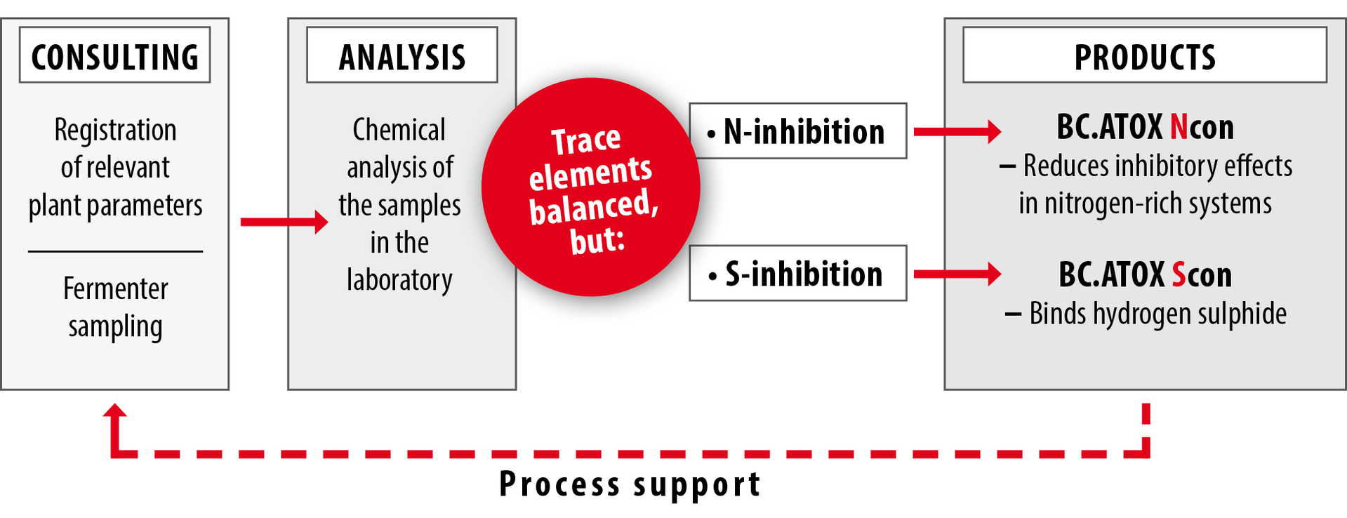 Process guidance